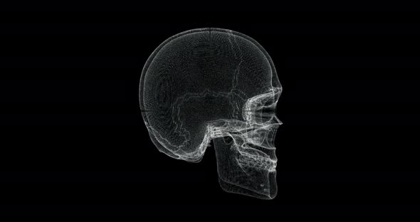 Hologram Screen of Skull Bone