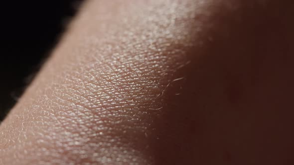 Hand Skin Texture Closeup