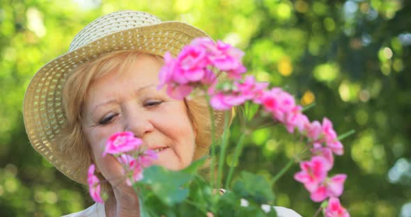 Senior woman examining pot plant in garden