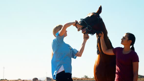 Veterinarian examining horse in ranch 4k