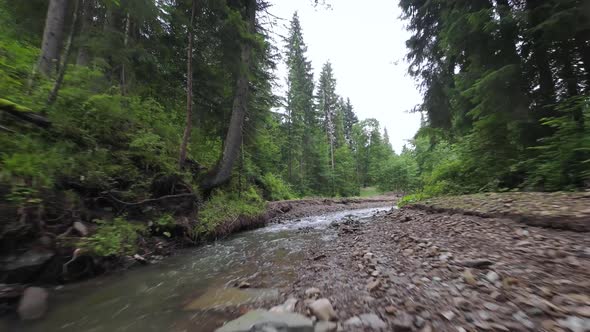 Smooth Rapid Flight Over a Mountain River Close to the Water Among a Dense Forest