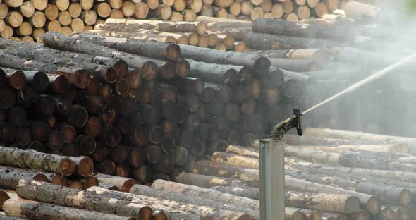 Water sprayer in the wood store to retain humidity