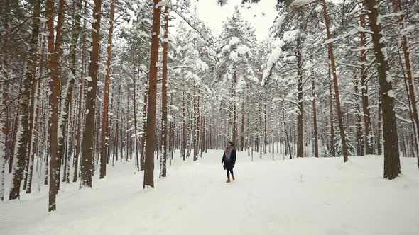 Young Woman Walking Through Snowy Pine Alley in Winter Forest