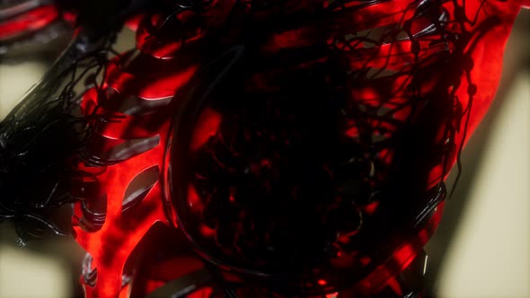 Human Skeleton Bones Scan Glowing alt