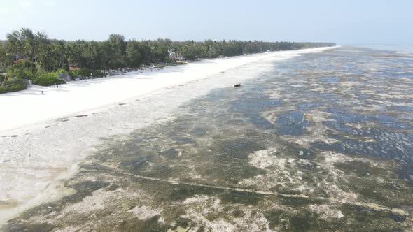 Zanzibar Tanzania  Low Tide in the Ocean Near the Shore