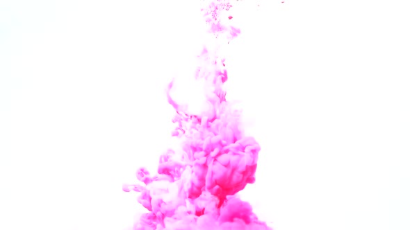 Paint Infusion Pink Dye