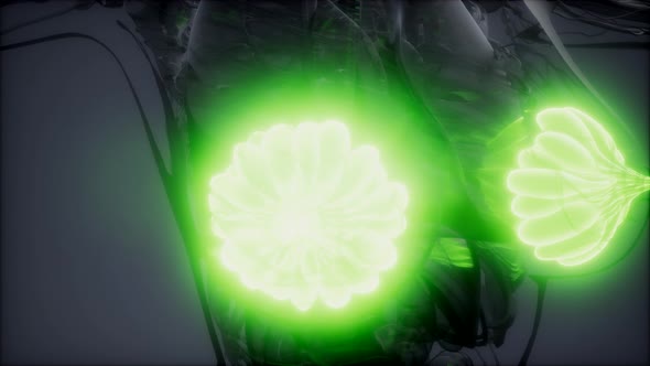 Medically Accurate Illustration of an Obese Womens Mammary Glands alt