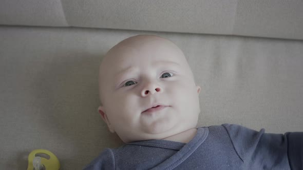 Portrait of a happy little toddler boy