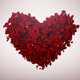 Valentine Day with Rose Petals - VideoHive Item for Sale