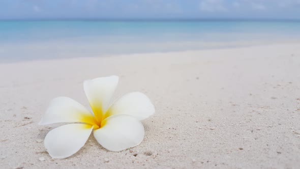 Natural fly over abstract view of a summer white paradise sand beach and aqua blue water background 