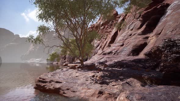 Panoramic View of Colorado River