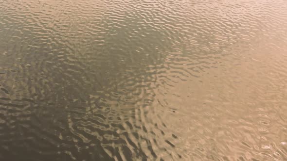 Ripples in the water. Reflection of the sun rays.