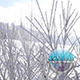 Travelling in Snow 2 - VideoHive Item for Sale