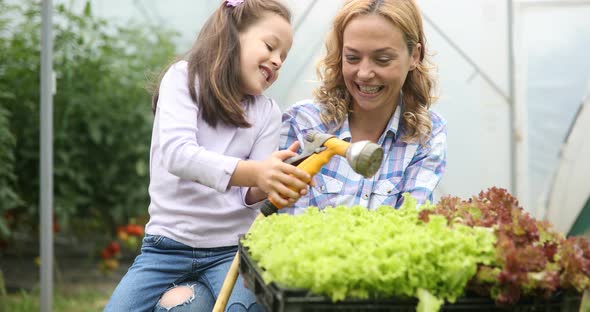 Farming Gardening and People Concept