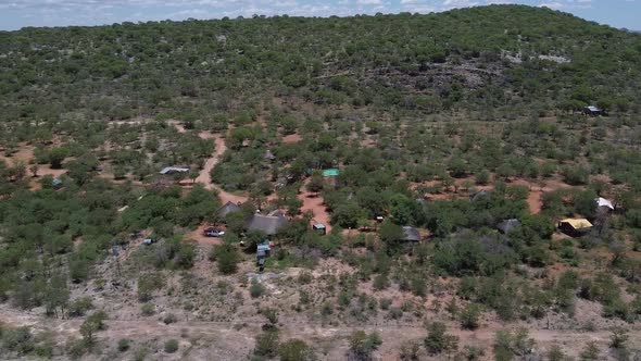 Amazing aerial footage of savanna, gorgeous trees across the whole plain