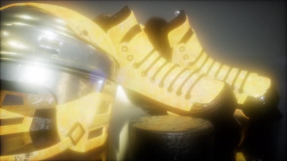 Hockey Puck and Hockey Equipment alt