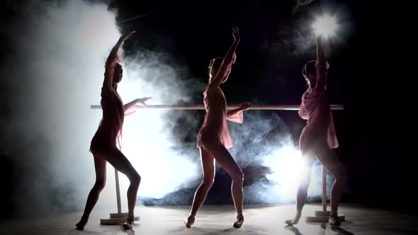 Little Ballet Girls in Dress Posing at Ballet Barre, Smoke