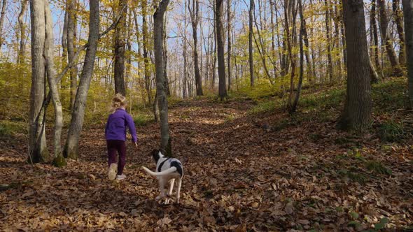 In slow motion, a child girl plays with a dog in an autumn forest