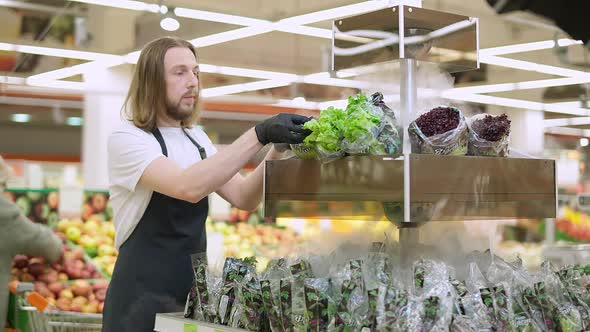 Man Replenishes Products on the Shelves Worker Puts the Green Salad Packages on the Shelves in an