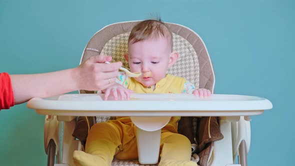 Mother feeding toddler baby with spoon on high chair for children, blue studio background. 