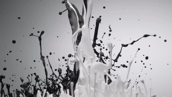 Black and white paint bouncing and making splash. Slow Motion.