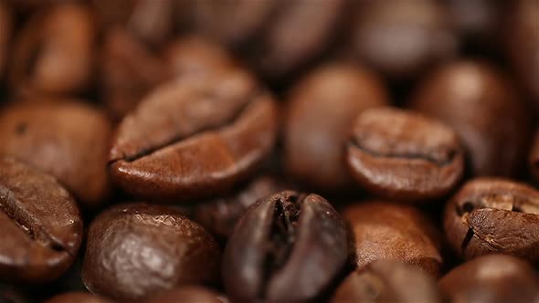 Roasted Coffee Beans Rotating on Stand, Aromatic Invigorating Drink Production