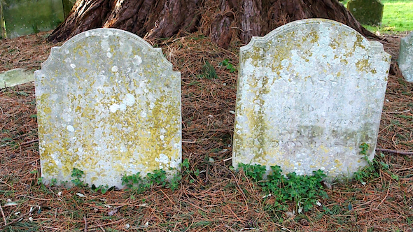 Graves Under Tree