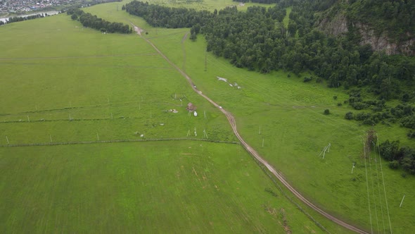 A White Car Moves Along Green Meadows