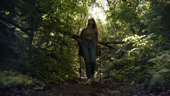 Hiker Hiking Sport Activities. Nordic Walking Trekking Sticks In Wood. Summer Adventure Hiking.