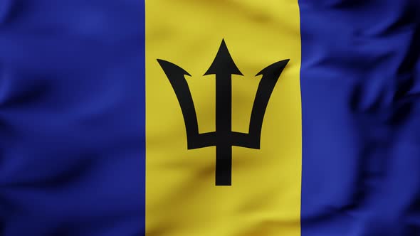 3D Animation Flag Waving in Slow Motion Fill Frame  Barbados