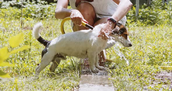 Woman Wash Dog in the Garden