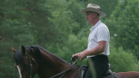 Cowboy in a Hat Ride a Horse in a Clearing Near the Forest Walk on Horseback Adventure