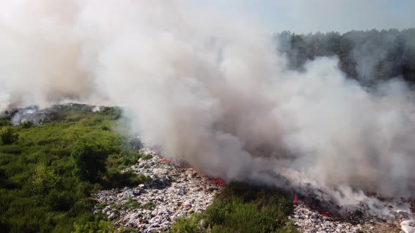 Circling around dump site exhaling dangeround smokes in the countryside