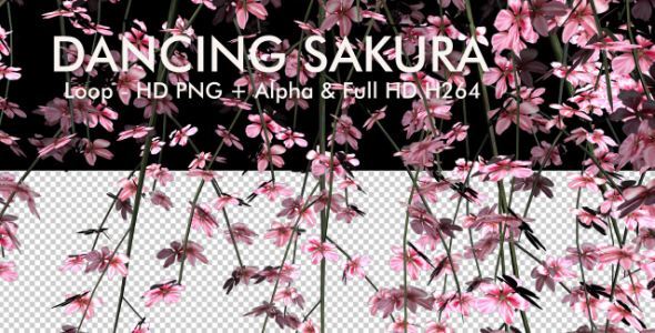 Dancing Sakura