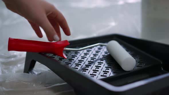 Closeup Painting Roller in Tray with Female Caucasian Hand Taking Equipment Leaving