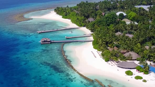 Aerial drone travel of island beach wildlife by blue lagoon with sand background