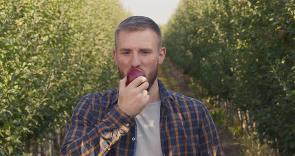 Outdoor Portrait of Young Man Biting Fresh Apple, Enjoying Natural Taste in Garden