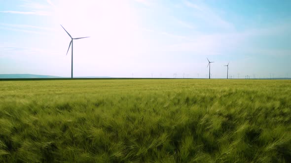 Green wheat field in motion with wind turbines in the background. Eolian farm renewable energy