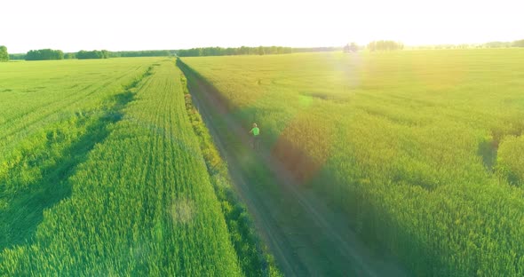 Aerial View on Young Boy, That Rides a Bicycle Thru a Wheat Grass Field on the Old Rural Road