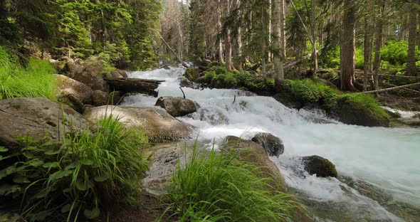 Mountain River in the Wood in Slow Motion