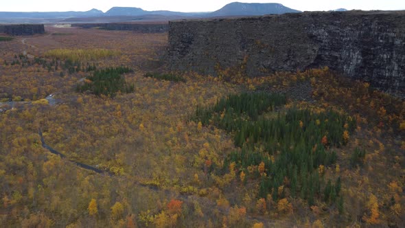 Asbyrgi Canyon Aerial View on Autumn Iceland