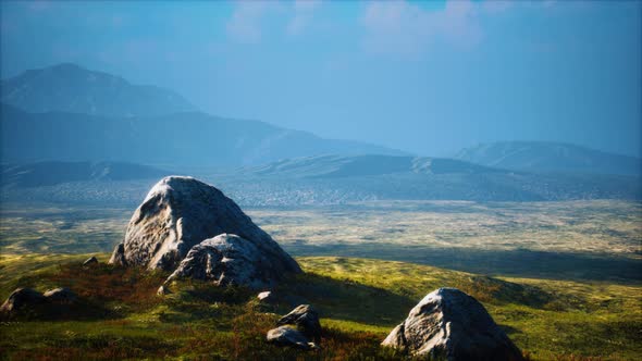 Big Stones in Grass Field