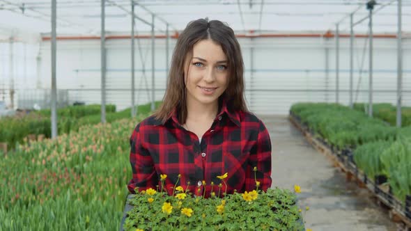 Young Girl Florist Stands on a Background of Rows of Tulips Which She Grows for Sale and Holds a