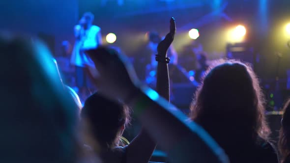 Crowd of Fans of the Musical Band Applauding in a Nightclub During Live Performance