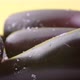 Ripe eggplant on a yellow background - VideoHive Item for Sale