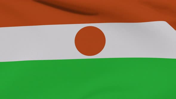 Flag Niger Patriotism National Freedom Seamless Loop