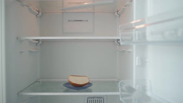 Hungry Man Opens the Empty Refrigerator and Takes the Leftover Bread