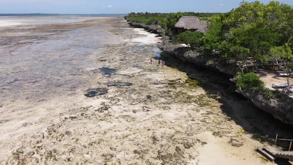 View From a Height of the Indian Ocean Near the Coast of Zanzibar Tanzania