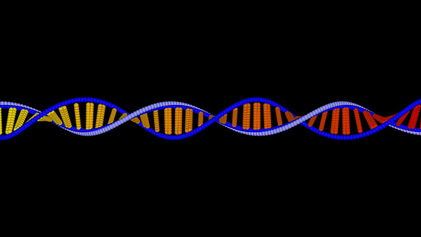 DNA