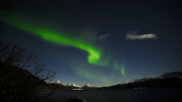 Timelapse Scenic Shot of Northern Lights in Wide Skies and Forest Scenery